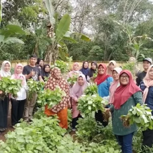 Full Senyum, Kelompok Tani Wanita di Karanganyar Lebih Mudah Salurkan Panen Sayuran Berkat Program MBG