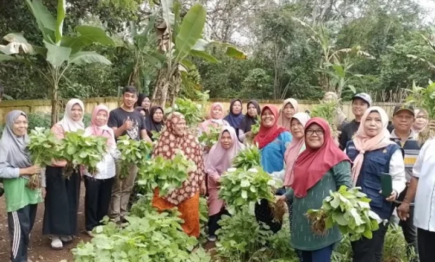 Full Senyum, Kelompok Tani Wanita di Karanganyar Lebih Mudah Salurkan Panen Sayuran Berkat Program MBG Full Senyum, Kelompok Tani Wanita di Karanganyar Lebih Mudah Salurkan Panen Sayuran Berkat Program MBG