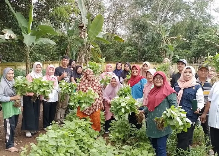 Full Senyum, Kelompok Tani Wanita di Karanganyar Lebih Mudah Salurkan Panen Sayuran Berkat Program MBG