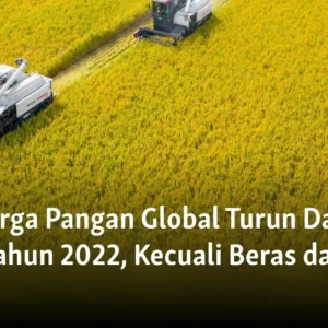 Gara-gara Biaya Energi Melambung, FAO Laporkan Harga Pangan Global Naik 2,4 Persen