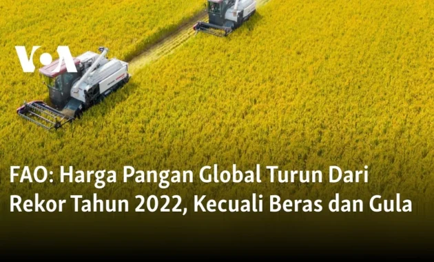 Gara-gara Biaya Energi Melambung, FAO Laporkan Harga Pangan Global Naik 2,4 Persen