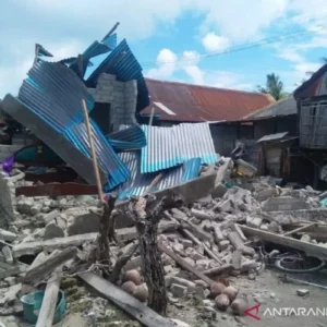 Gempa Bumi Kedalaman Dangkal Mengguncang Pulau Adonara: Ratusan Rumah Rusak, Dua Puluh Luka dan Ancaman Tsunami
