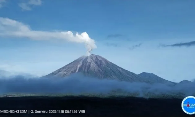 Gunung Semeru Mengeluarkan Kolom Abu 800 Meter, Warga Dilarang Masuk 13 Km dari Puncak