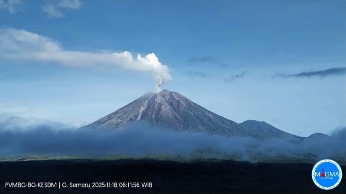 Gunung Semeru Mengeluarkan Kolom Abu 800 Meter, Warga Dilarang Masuk 13 Km dari Puncak