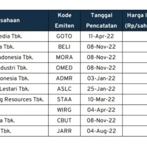 Gurita Bisnis DSSA Siap Bawa IPO DANA & Vidio, Sementara Om Power Transmission dan NSE Guncang Pasar Modal Global