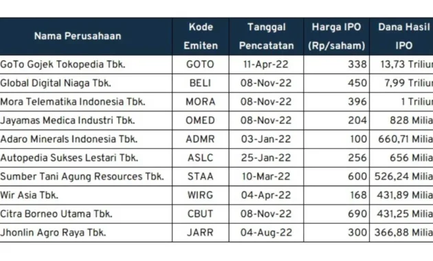 Gurita Bisnis DSSA Siap Bawa IPO DANA & Vidio, Sementara Om Power Transmission dan NSE Guncang Pasar Modal Global