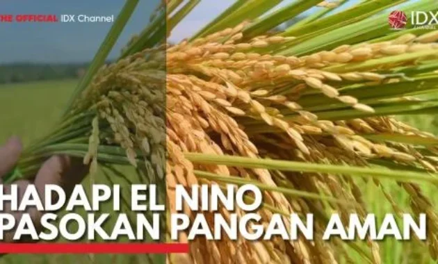 Hadapi El Nino Godzila, Stok Pangan RI Aman hingga 11 Bulan ke Depan