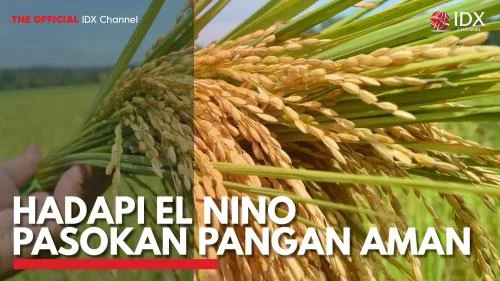 Hadapi El Nino Godzila, Stok Pangan RI Aman hingga 11 Bulan ke Depan