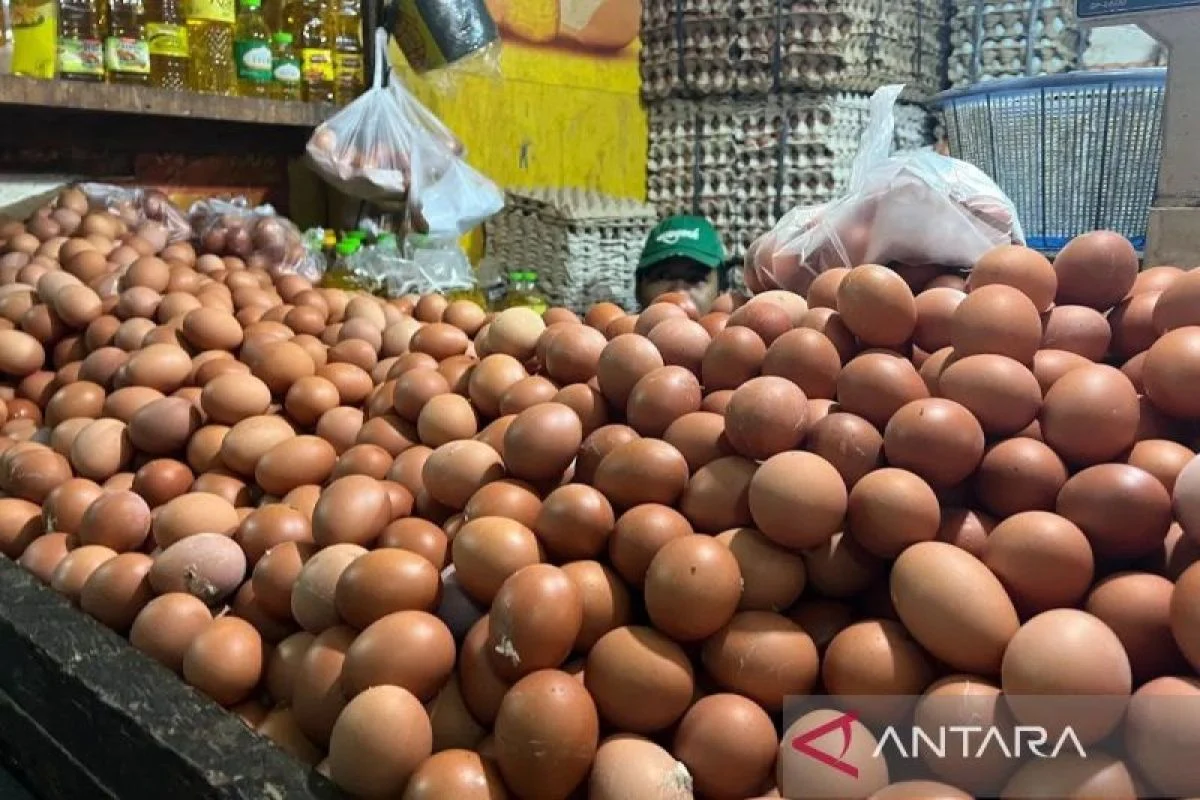 Harga Cabai Rawit dan Telur Ayam Naik, PIHPS Lapor Harga Terkini