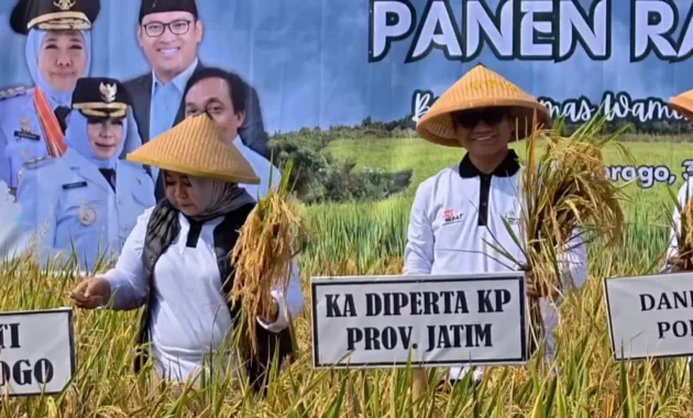 Harga Gabah Di Atas HPP, Pemkab Ponorogo Gelar Panen Raya