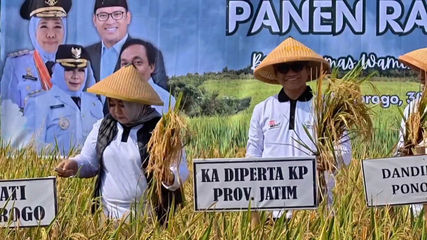 Harga Gabah Di Atas HPP, Pemkab Ponorogo Gelar Panen Raya