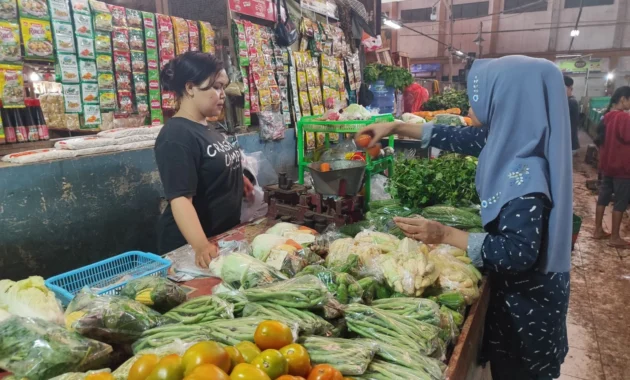 Harga Plastik Melonjak, Pedagang dan UMKM Gencar Cari Solusi agar Terhindar PHK