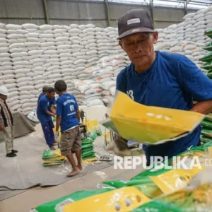 HKTI: Kondisi Lapangan Buktikan Stok Beras Melimpah, Swasembada Kuat
