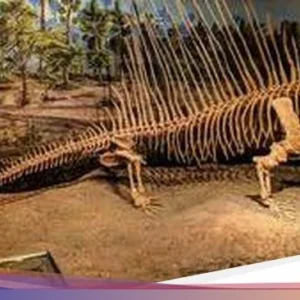 Ilmuwan China Telusuri Kehidupan Hewan Purba Sebelum Ledakan Kambrium