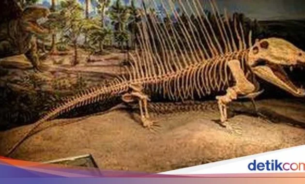 Ilmuwan China Telusuri Kehidupan Hewan Purba Sebelum Ledakan Kambrium