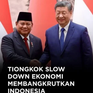 Indonesia di Bawah Bayang-Bayang Krisis Global: Saatnya Berhenti Bergantung