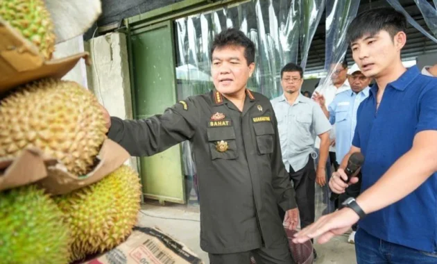 Indonesia Ekspor 4.077 Ton Durian Beku ke China pada Tahun Ini