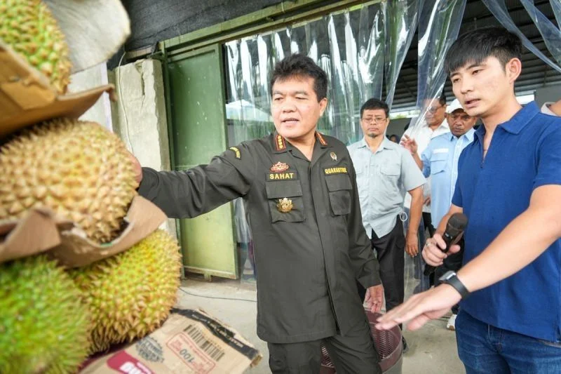 Indonesia Ekspor 4.077 Ton Durian Beku ke China pada Tahun Ini