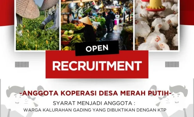 Injury Time! Pendaftaran Manajer Koperasi Merah Putih 2026 Tinggal Sehari Lagi