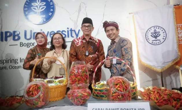 IPB University Geliat Inovasi Cabai Super Pedas, Biaya Kuliah Kompetitif, dan Lulusan Siap Kerja dalam Waktu Singkat