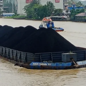 Iran Bikin Timur Tengah Membara, Jepang Tingkatkan Konsumsi Batu Bara: Dampak Besar bagi Ketahanan Energi Indonesia