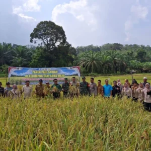 Jambi Targetkan Swasembada Beras Melalui Kerja Kolaboratif