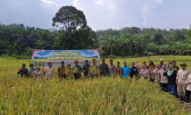Jambi Targetkan Swasembada Beras Melalui Kerja Kolaboratif