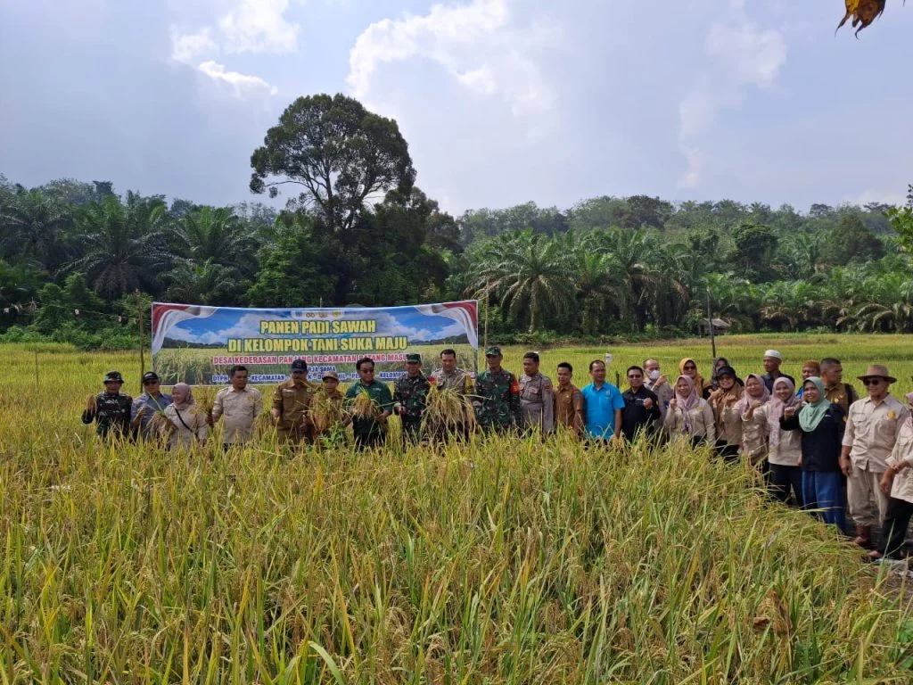 Jambi Targetkan Swasembada Beras Melalui Kerja Kolaboratif