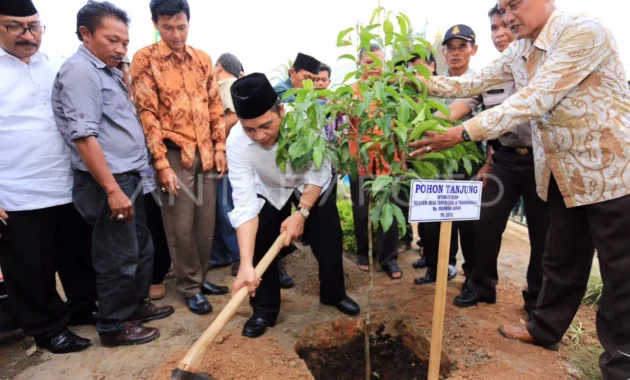 Kalsel Tanam 500 Bibit Tanjung Perkuat RHL Bundaran Pohon Jokowi