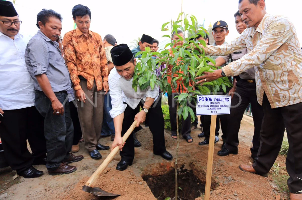 Kalsel Tanam 500 Bibit Tanjung Perkuat RHL Bundaran Pohon Jokowi