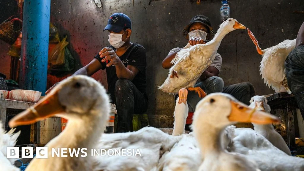 Kamboja Umumkan Kasus Keempat Flu Burung pada Manusia