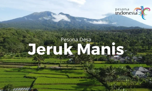 Kampung Internet Dorong Potensi Pariwisata Desa Jeruk Manis, Lombok
