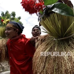 Katto Bokko, Tradisi Panen Khas Maros yang Dijaga Turun-Temurun