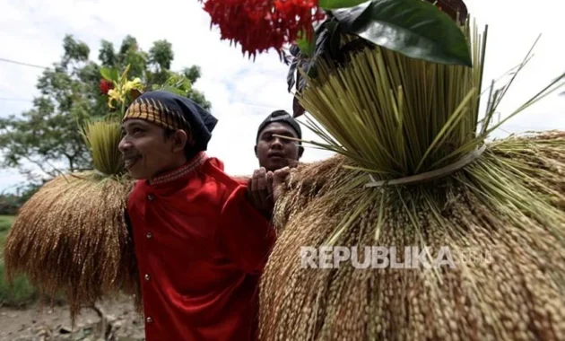 Katto Bokko, Tradisi Panen Khas Maros yang Dijaga Turun-Temurun