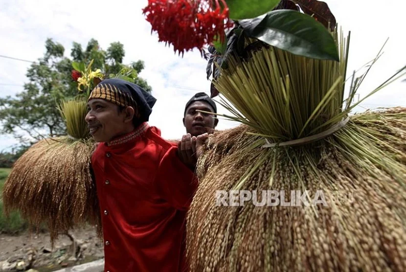 Katto Bokko, Tradisi Panen Khas Maros yang Dijaga Turun-Temurun