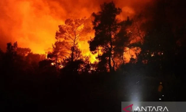 Kebakaran Hutan di Jepang Terus Meluas, 3.000 Orang Dievakuasi
