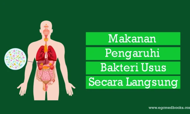Kedekatan Sosial Berpengaruh pada Komposisi Bakteri Usus Menurut Penelitian Terbaru Kedekatan Sosial Berpengaruh pada Komposisi Bakteri Usus Menurut Penelitian Terbaru