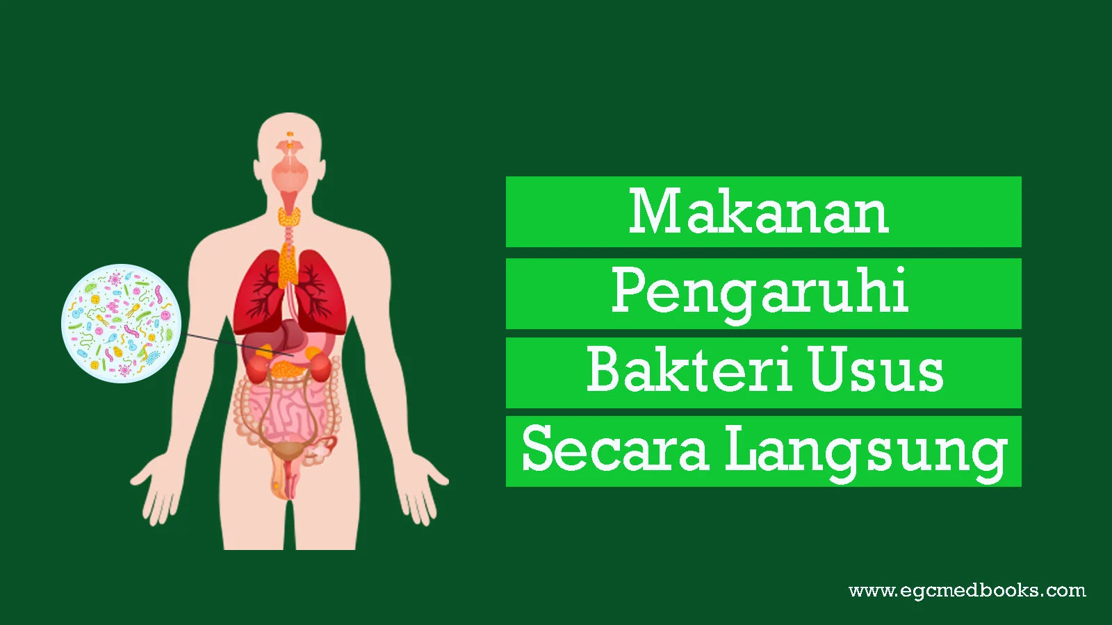 Kedekatan Sosial Berpengaruh pada Komposisi Bakteri Usus Menurut Penelitian Terbaru