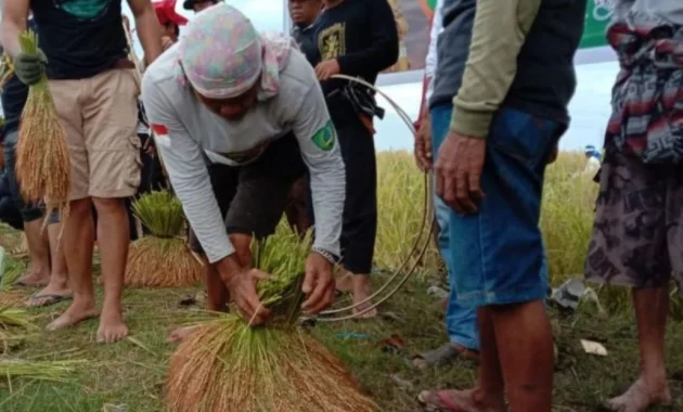 Kekaraengan Marusu Lestarikan Tradisi Katto Bokko