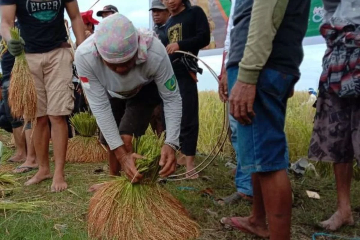 Kekaraengan Marusu Lestarikan Tradisi Katto Bokko
