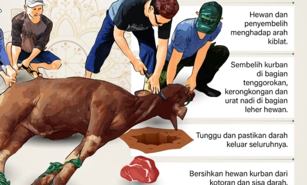 Kemenag Tegaskan Tak Ada Larangan Bagi Umat Muslim Sembelih Hewan Kurban Secara Pribadi