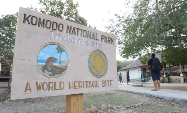 Kemenhut Pastikan Pembatasan Turis di Taman Nasional Komodo Dikaji Secara Berkala