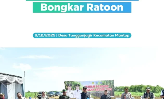 Kementan Bongkar Ratoon 300 Ribu Hektare, Percepat Swasembada Gula