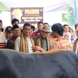 Ketua MPR Buka Kontes Sapi APPSI: Dorong Kesejahteraan Peternak Sapi dan Ketahanan Pangan Nasional