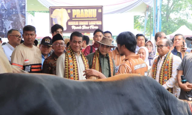 Ketua MPR Buka Kontes Sapi APPSI: Dorong Kesejahteraan Peternak Sapi dan Ketahanan Pangan Nasional