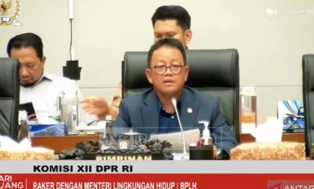 Kikis Risiko Fiskal, Komisi XII DPR RI Dorong Penggunaan Rupiah dalam Transaksi DMO Batu Bara