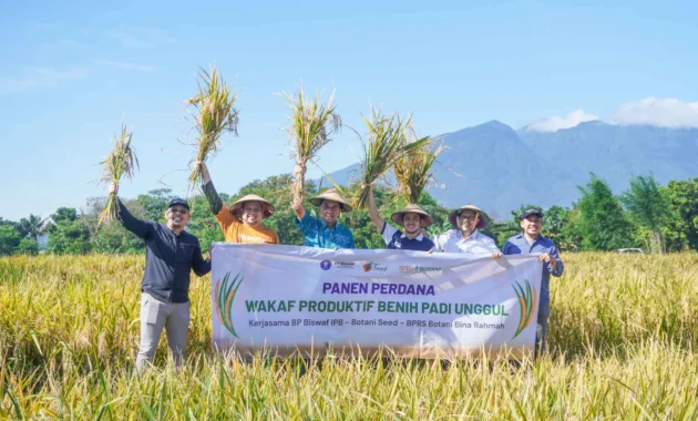 Kolaborasi OIKN-IPB Hasilkan Panen Padi Gogo 20 Hektare di Nusantara