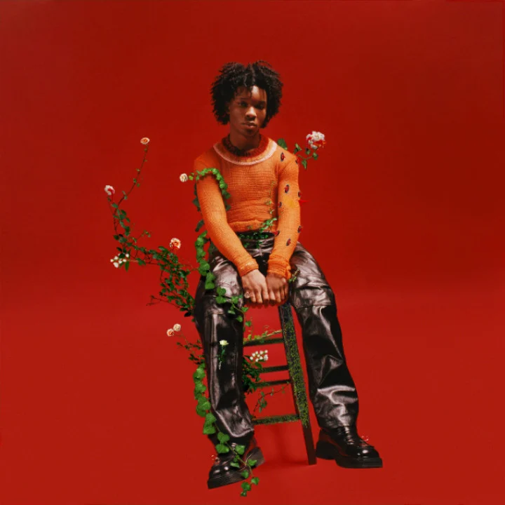 Kontroversi D4vd Mengguncang Dunia Musik: Dampak pada Kolaborasi dengan Laufey dan Kebijakan Refund Fortnite