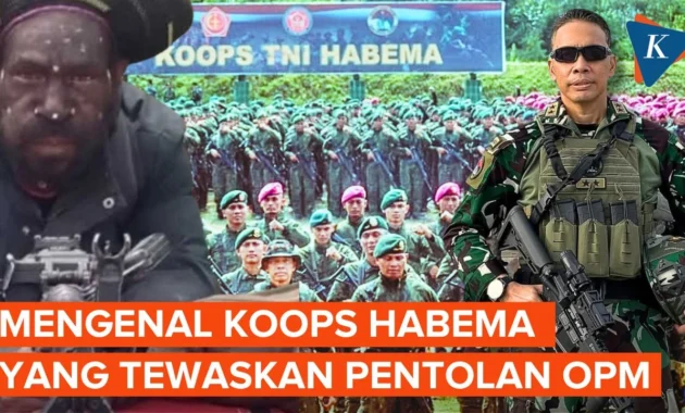 Koops TNI Habema Tindak Tegas Pimpinan OPM Kodap Ilaga Jeki Murib atas Enam Aksi Kekerasan