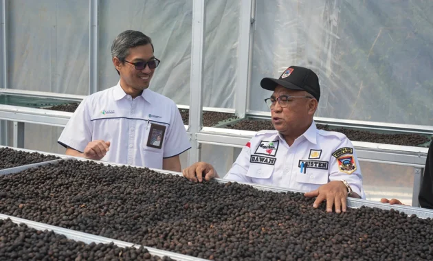 Kopi Tebat Benawa Pusri, Tumbuhkan Harapan Petani di Gunung Dempo